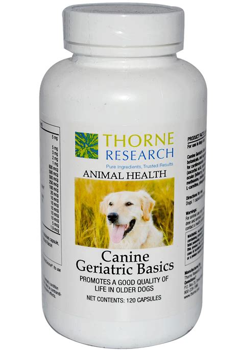 Canine Geriatric Basics Vet