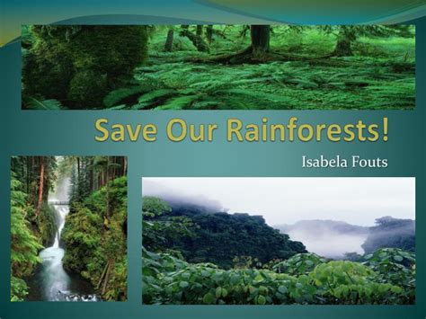 Ppt Save Our Rainforests Powerpoint Presentation Free Download Id