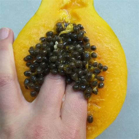 We Cant Stop Looking At These Extremely Sexual Photos Of Fruit