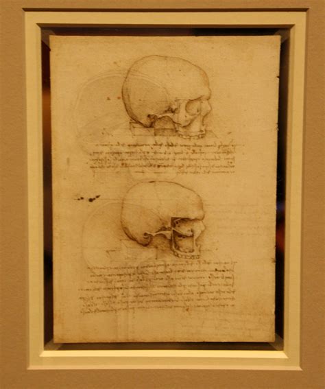 Leonardo Da Vinci Anatomist 10 The Queens Gallery Buck Flickr