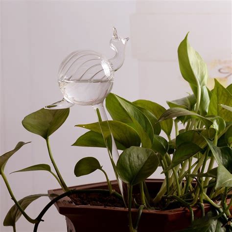 Plant Watering Device Indoor Automatic Cute Birds Snail