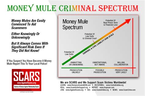 Scars Insight All About Money Mules Scars Romance Scams Education