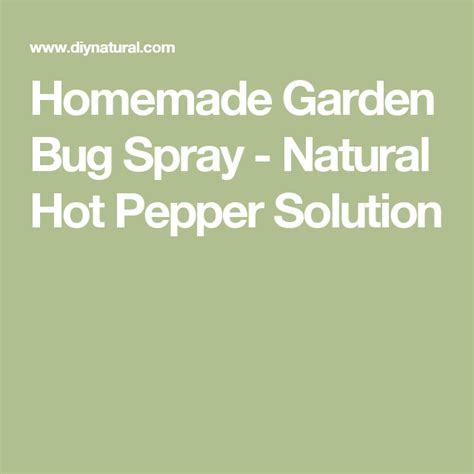 Homemade Garden Bug Spray Natural Hot Pepper Solution Garden Bug