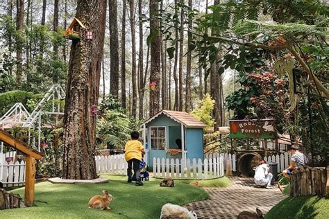 Ini Tempat Wisata Di Bandung Yang Lagi Hits Untuk Dikunjungi