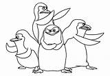 Penguins Coloring Madagascar Penguin Printable Cartoon Christmas sketch template