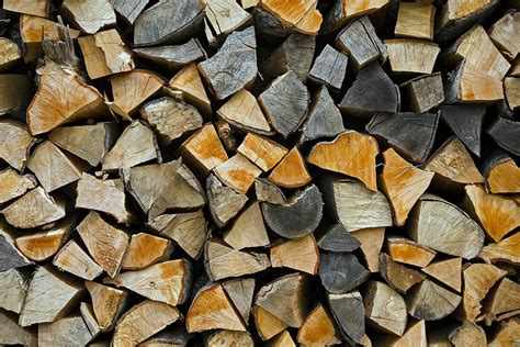 We did not find results for: Firewood Facts: How to Choose the Best Firewood - Hartford, CT