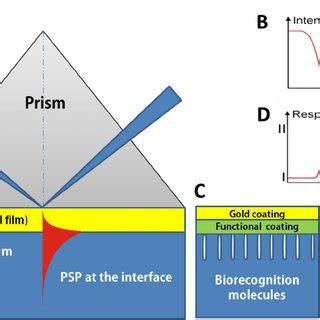 • makes use of sio2 prism • create evanescent wave by tir. Concept of a surface plasmon resonance (SPR) biosensor ...