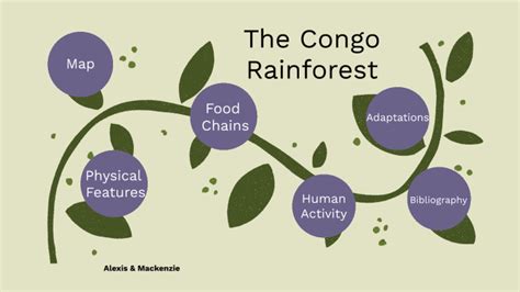 The Congo Rainforest By Mackenzie Gigun