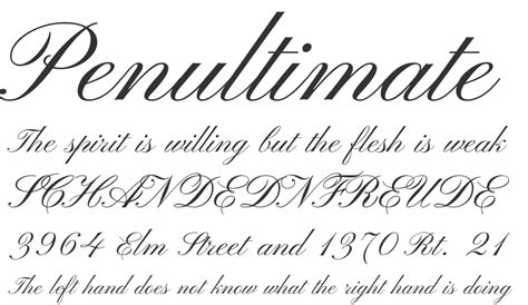 Download 10,000 fonts with one click for $19.95. theyspunawebforme - Smile! You're at the best WordPress ...