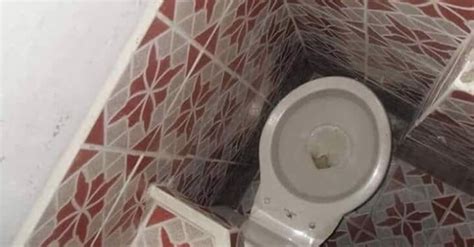 Toilets With Auras More Threatening Than Horror Film Villains