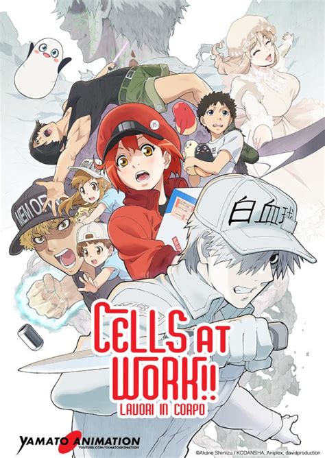 Anime Cells At Work 2 Hataraku Saibou 2 Di Kenichi Suzuki