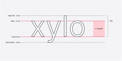The Role Of X Height In Typefaces Dan Hollick