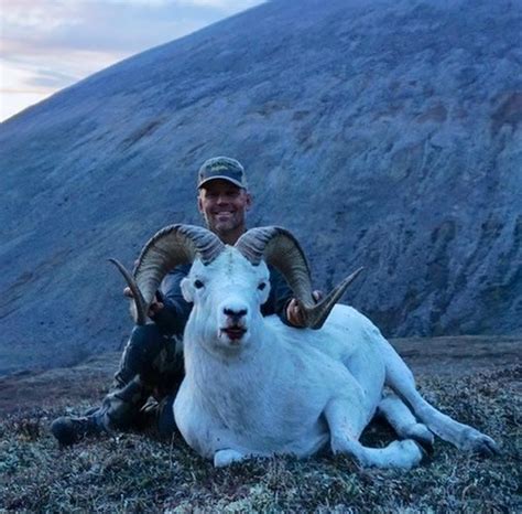 10 Day Yukon Dall Sheep Or Fannin Sheep Hunt For One Hunter