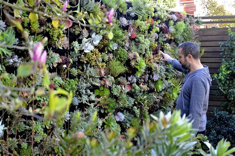 Living Canvas Vertical Garden — Florafelt Living Wall Systems