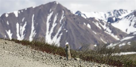 Last Frontiers And Final Boundaries Alaska 2016 Simon Lochbrunner