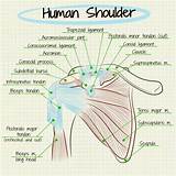 Back Side Shoulder Pain Images