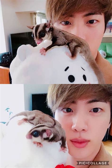 Atualmente, tem sete exemplares (machos e fêmeas). #jin #bts #instagram (com imagens) | Hiena, K idol, Jin