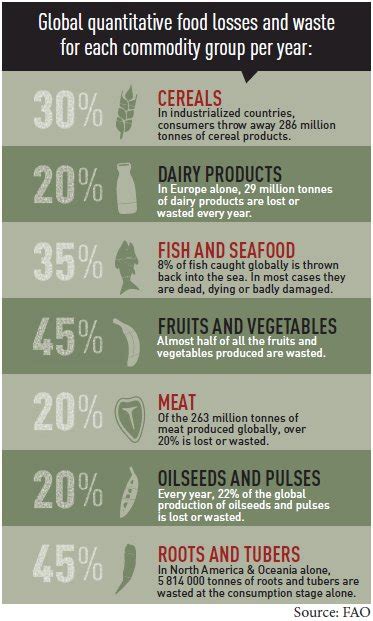 Fao Food Waste Infographic Big Picture Agriculture