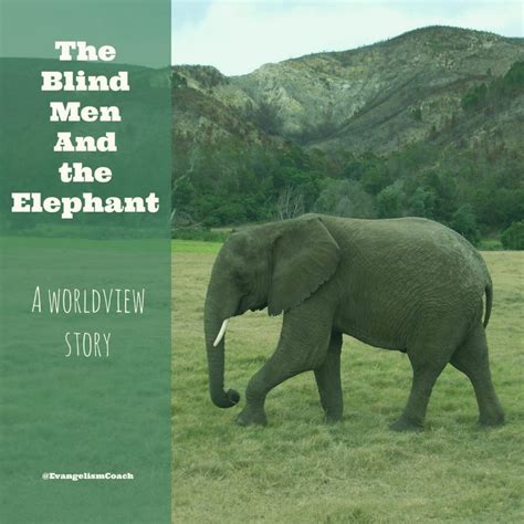 The Blind Men The Elephant And The Zoo