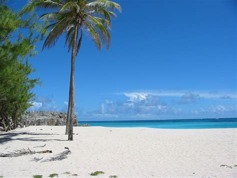 Barbados Beach Free Stock Photo Freeimages