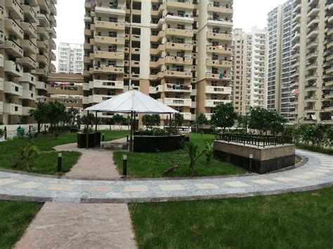 2 BHK 900 Sq Ft Apartment For Sale In Sector 14 Dwarka Delhi REI865639