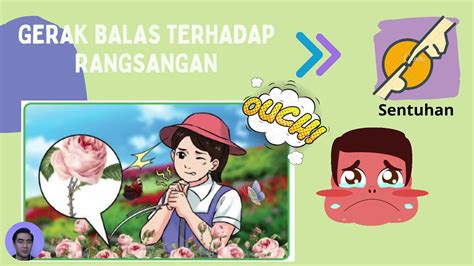 Sains Tahun 4  Gerak Balas Terhadap Rangsangan  YouTube