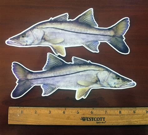 Snook Snook Decal Snook Sticker Fishing Decal Etsy