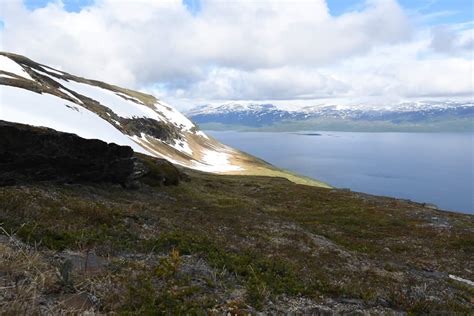 We did not find results for: The Flora of Abisko National Park - Minnesota Native Plant ...