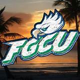 Is Florida Gulf Coast University A Good School Photos