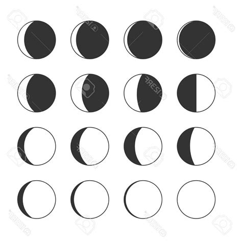 Moon Phases Vector At Getdrawings Free Download