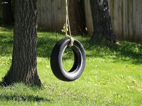 Good Old Fashioned Tire Swing Fun Reuse Old Tires Tire Swing