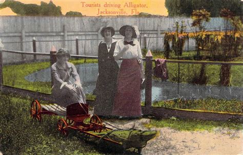1918 Jacksonville Fl Tourists Driving Alligator Cart Antique Price
