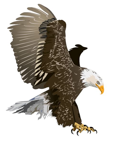 Realistic Bald Eagle Clipart Clip Art Library