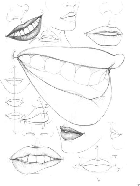 Then, make small circles at the joints and draw a line to form the outline of the body. The Mouth analysis and structure - Figure Drawing - Martel ...