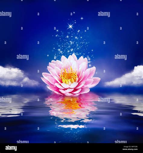 Beautiful Magic Flower On Water Waterlily Or Lotus And Moon In Night