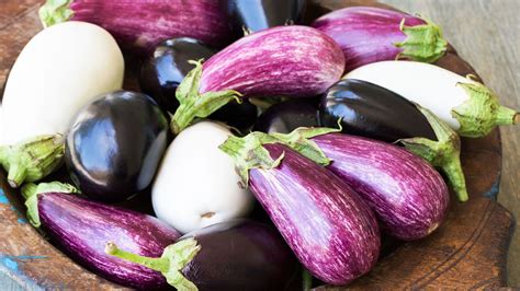 Types Of Eggplant How Are They Different Blog Agri
