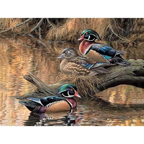 Colorful Ducks 5d Diy Paint By Diamond Kit Wildlife Paintings Duck