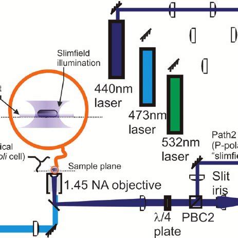 The significance of na is that light entering in the cone of semi vertical angle im only propagate through the fibre. Schematic depictions of confocal and slimfield excitation ...