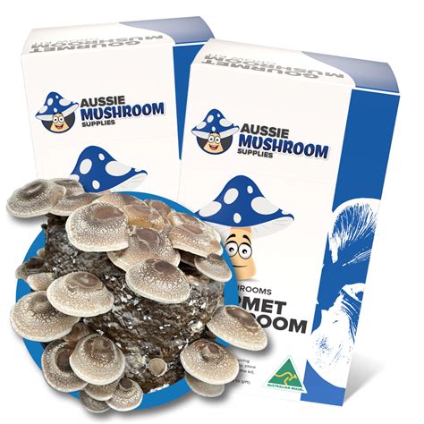Mushroom Grow Kits - Spray And Grow - Aussie Mushroom Supplies