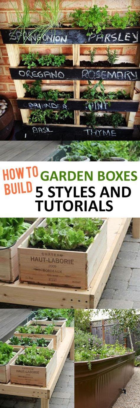 How to use citrus peels in your garden. Gardening, home garden, garden hacks, garden tips and ...
