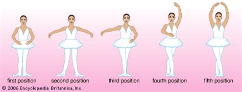 Ballet For The Rest Of Us Basic Ballet Positions