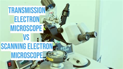 Transmission Electron Microscope Vs Scanning Electron Microscope
