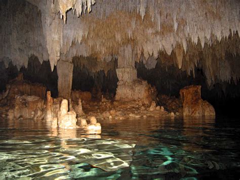 Riviera Maya Snorkeling In The Cenotes Of Tulum Favorite Outing Of