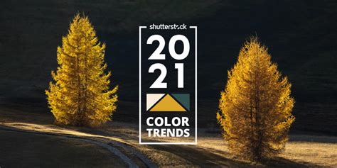 Shutterstock 2021 Color Trends Report Bapla