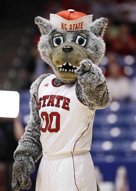 00220721h31287443 854×1200 Nc State Mascot Nc State Wolfpack