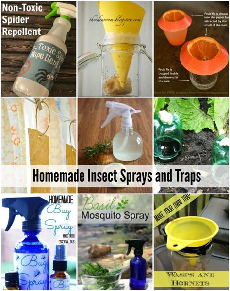 Natural Homemade Insect Sprays And Traps The Idea Room
