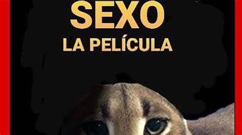 Sexo La Pel Cula Sex The Movie Image Gallery Sorted By Low Score List View Know Your Meme