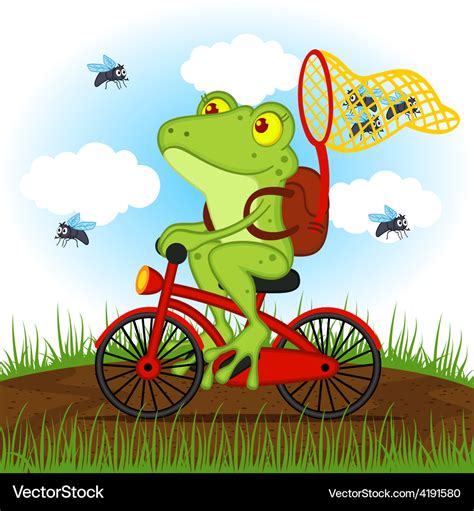 Frog On A Bike Ubicaciondepersonascdmxgobmx