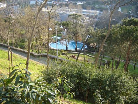 Maçka parkı'ndan,parkımızdan söküp apar topar zekeriyaköy'de diktiğiniz ağaçlardan 44 tanesi kurumuş; Maçka Demokrasi Parkı, Nerede, Nasıl Gidilir? - Şişli ...