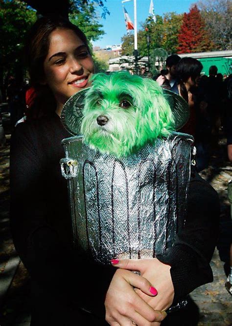 Dog Oliver Is Dressed As Oscar The Grouch With Owner Niki Khindri